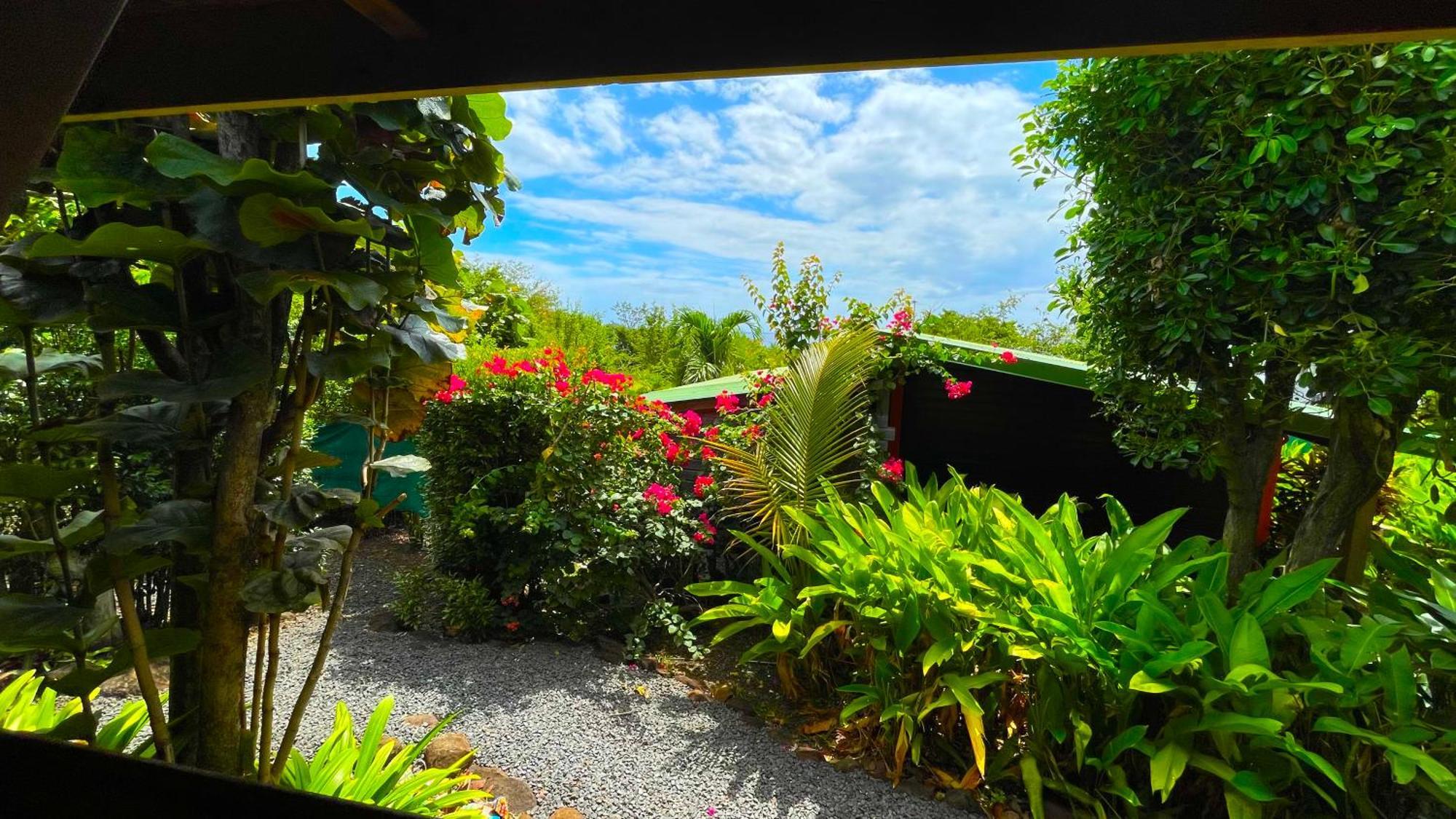 Gites Les Calebassiers Deshaies Exterior foto